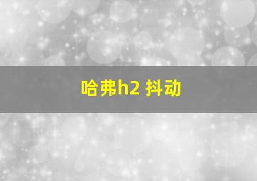 哈弗h2 抖动